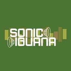 Sonic Iguana